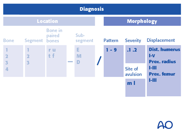 classification of childrens fractures