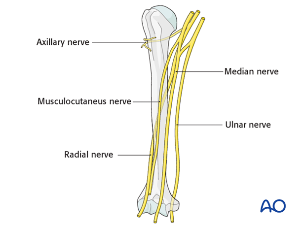 neurovascular injuries