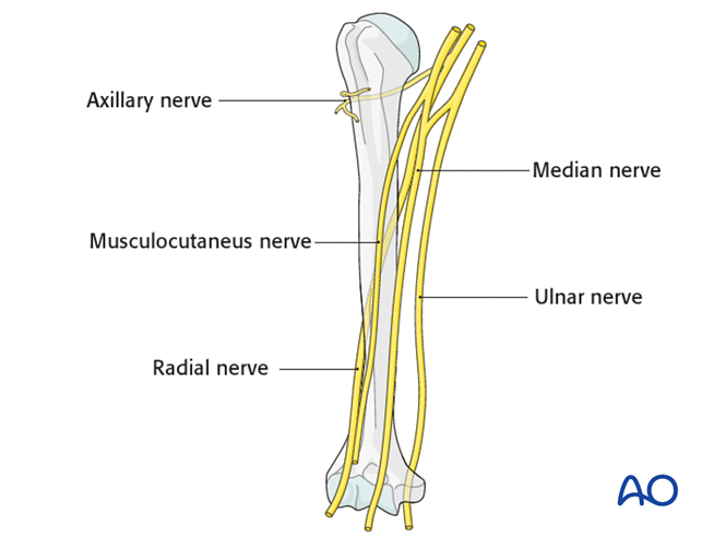 Neurovascular injuries