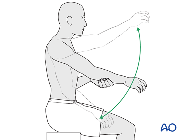 Nonoperative treatment for Body and processes, coracoid