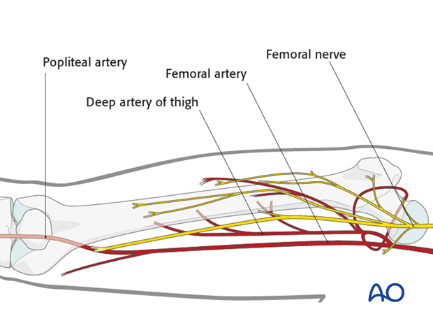 Overall neurovascular status of the limb