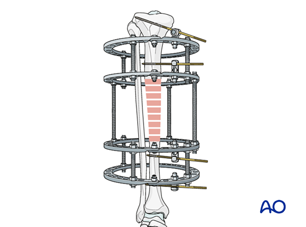 42_P050_Main_i020 42_P050_i020