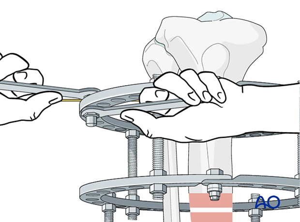 42_P050_Main_i220 42_P050_i220