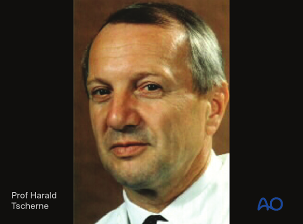 Prof Harald Tscherne