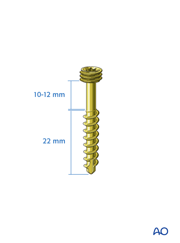 occiput condyle screw insertion