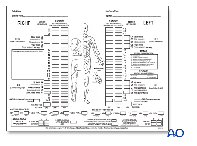 Patient examination: Neurological evaluation