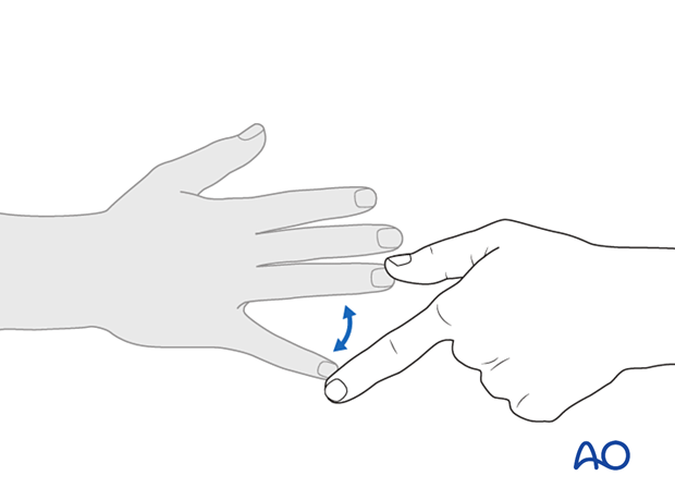 Manual Muscle Testing of finger abductors (T1)
