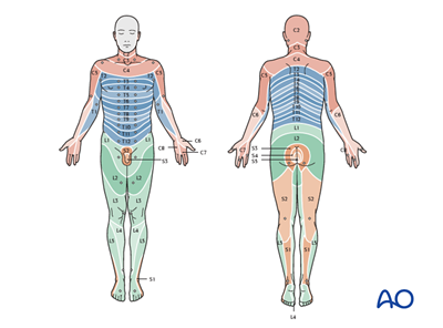 Patient examination: Neurological evaluation