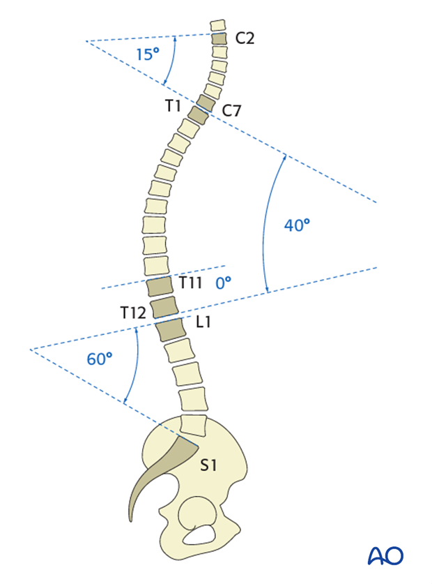 Normal sagittal alignment