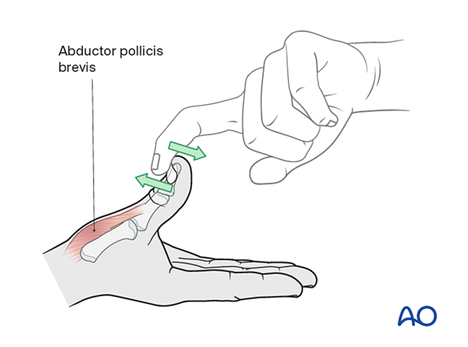Ulnar and median nerve lesions