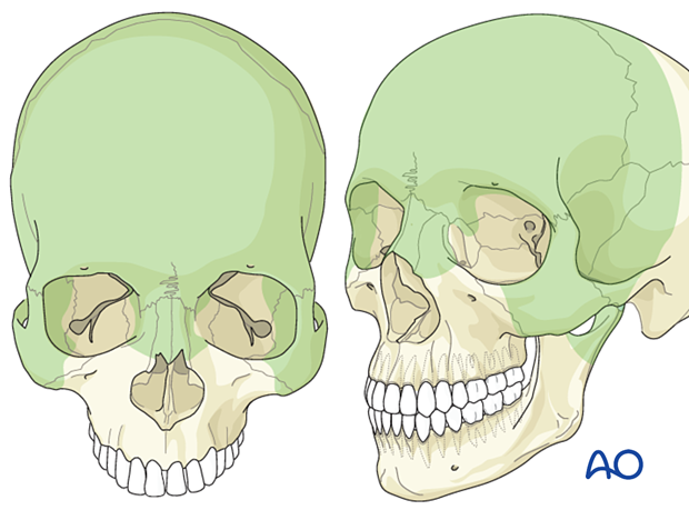 Access areas – coronal approach.