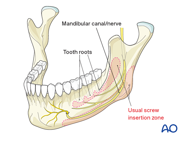 Variations of the mandibular canal and alveolar nerve
