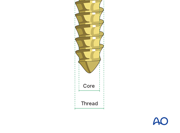 Thread and core of a screw