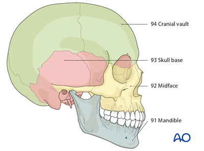 AOCMF Classification Midface (Level 1 and 2)