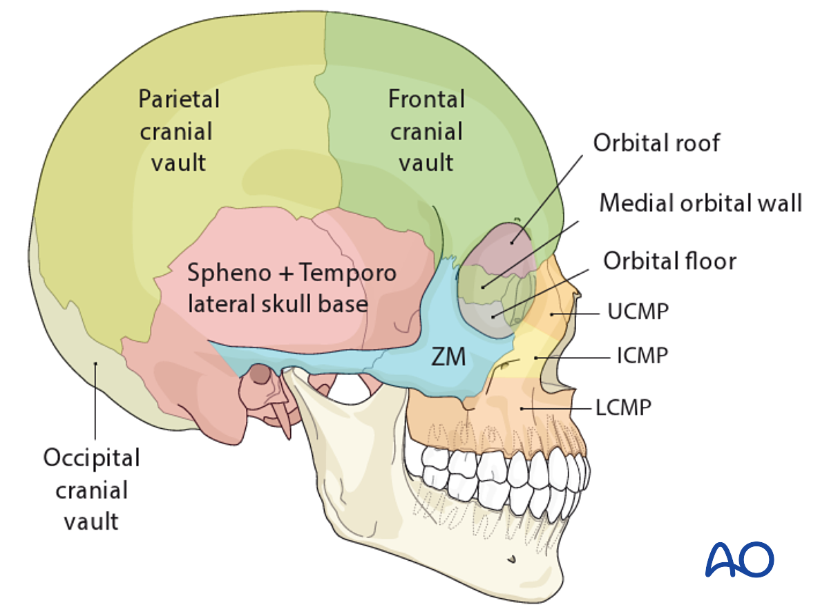 What Is Skull Fucking