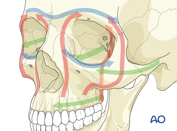 Midfacial injuries – Biomechanics of the midface 