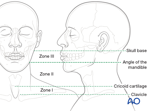92 X070 Patient examination midfacial injuries