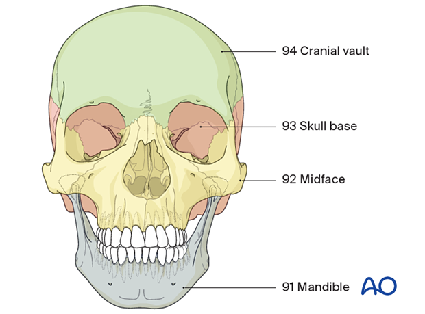 AO CMF Classification Midface (Level 1 and 2) – fracture location