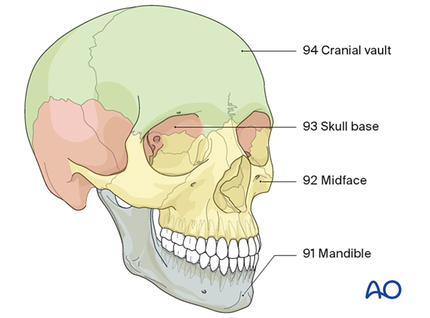 AOCMF Classification Midface (Level 1 and 2) – fracture location
