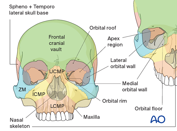 AO CMF Classification Midface Level 2 – CMF fracture location