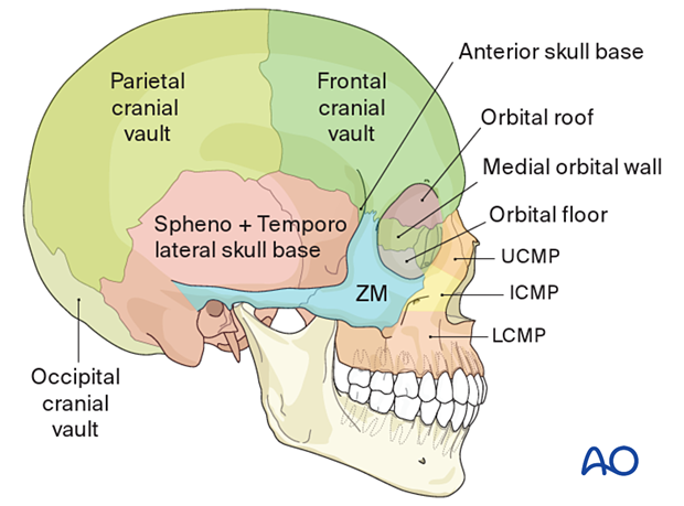 AO CMF Classification Skull base and cranial vault