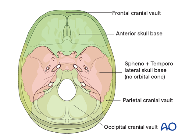 AO CMF Classification Skull base and cranial vault