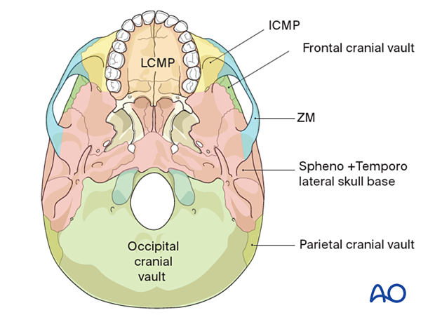 AOCMF Classification Skull base and cranial vault
