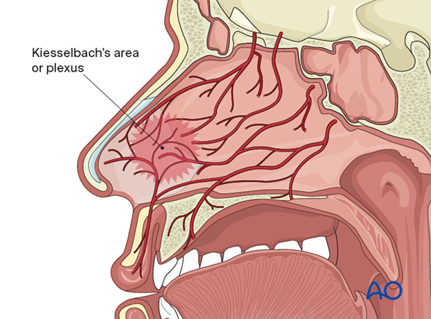 Airway considerations