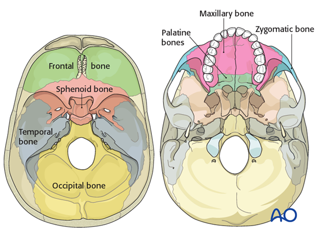 Diagnosis skull base fractures