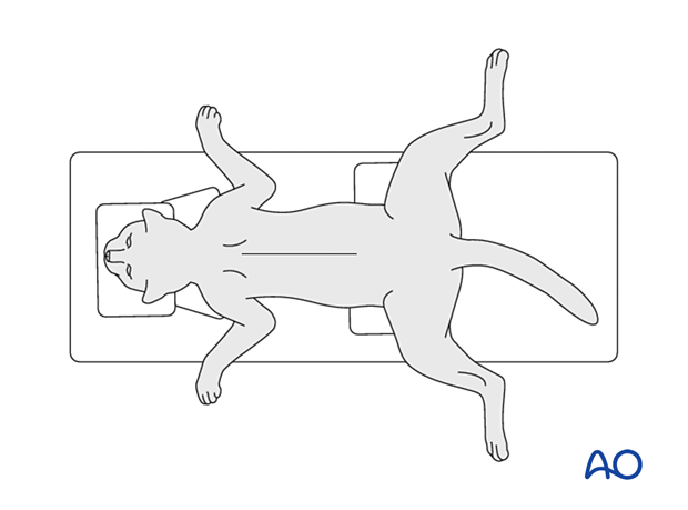 Sternal recumbency for the management of mandible injuries