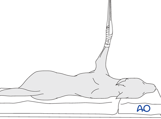 Lateral recumbency