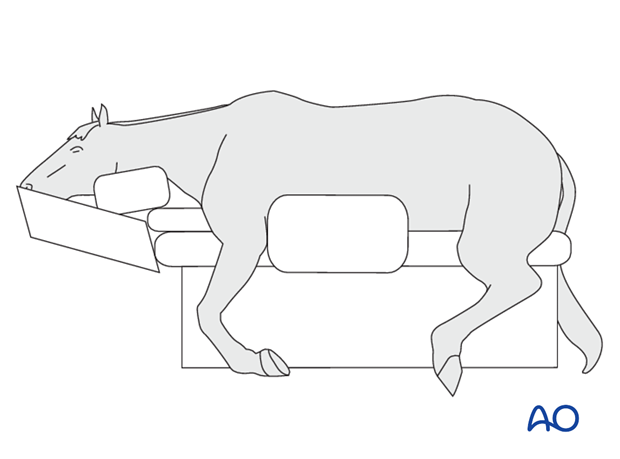 dorsal midline approach to the cervical spine