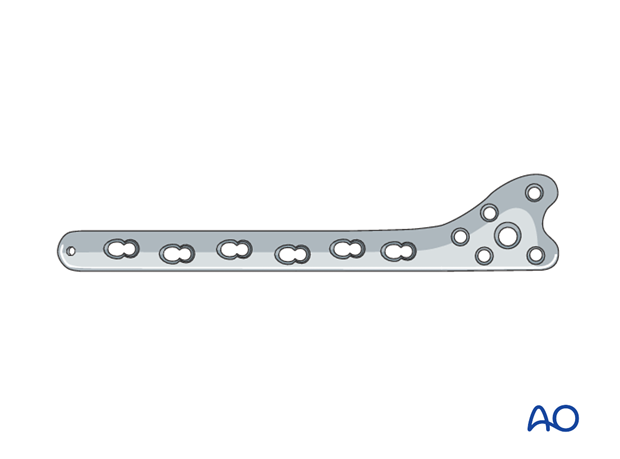 h50_P102_i120 plate fixation with atlantoaxial arthrodesis