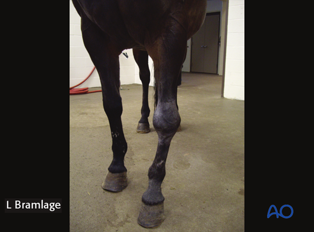 H70_Diag_D100_p020 definition