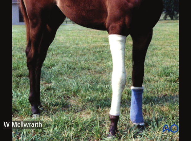 partial carpal arthrodesis