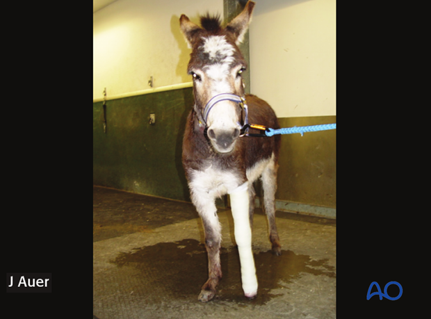 nonsurgical treatment