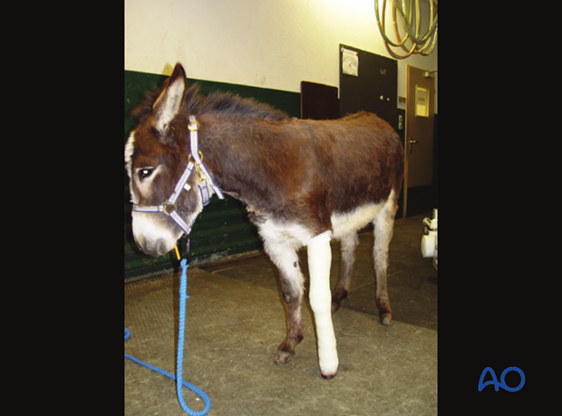 nonsurgical treatment