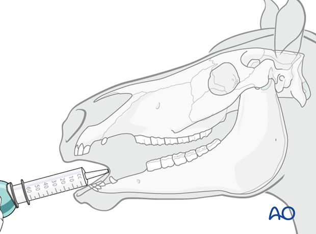 dorsal recumbency