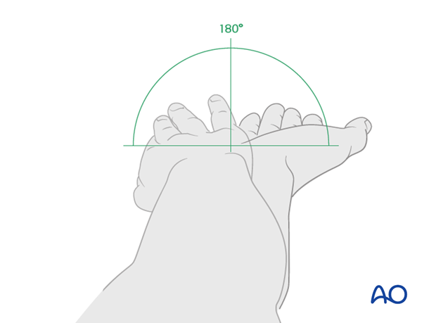 anatomy of the elbow