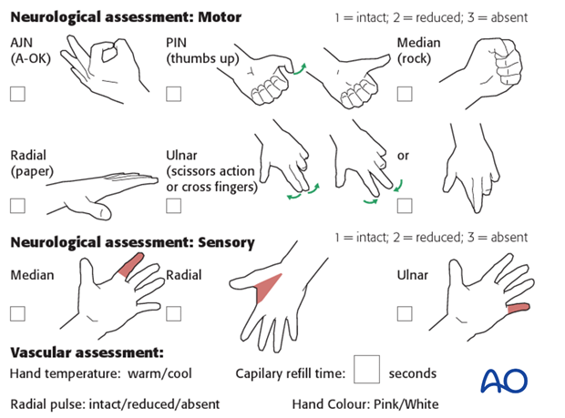 patient examination and radiology