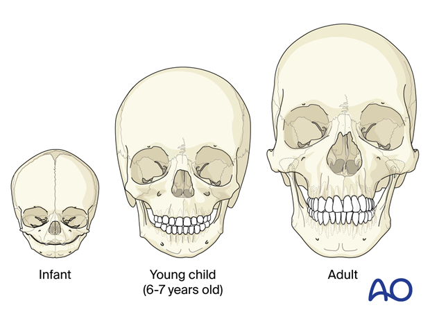 Pediatric versus adult skull anatomy.