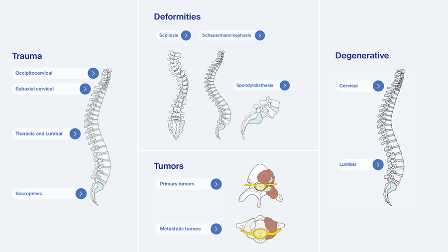 The AO Surgery Reference