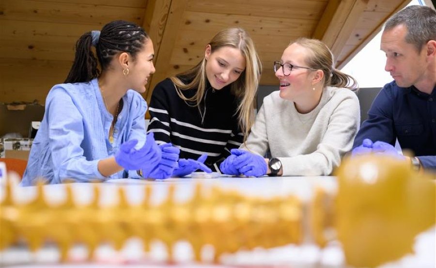 Insights into research