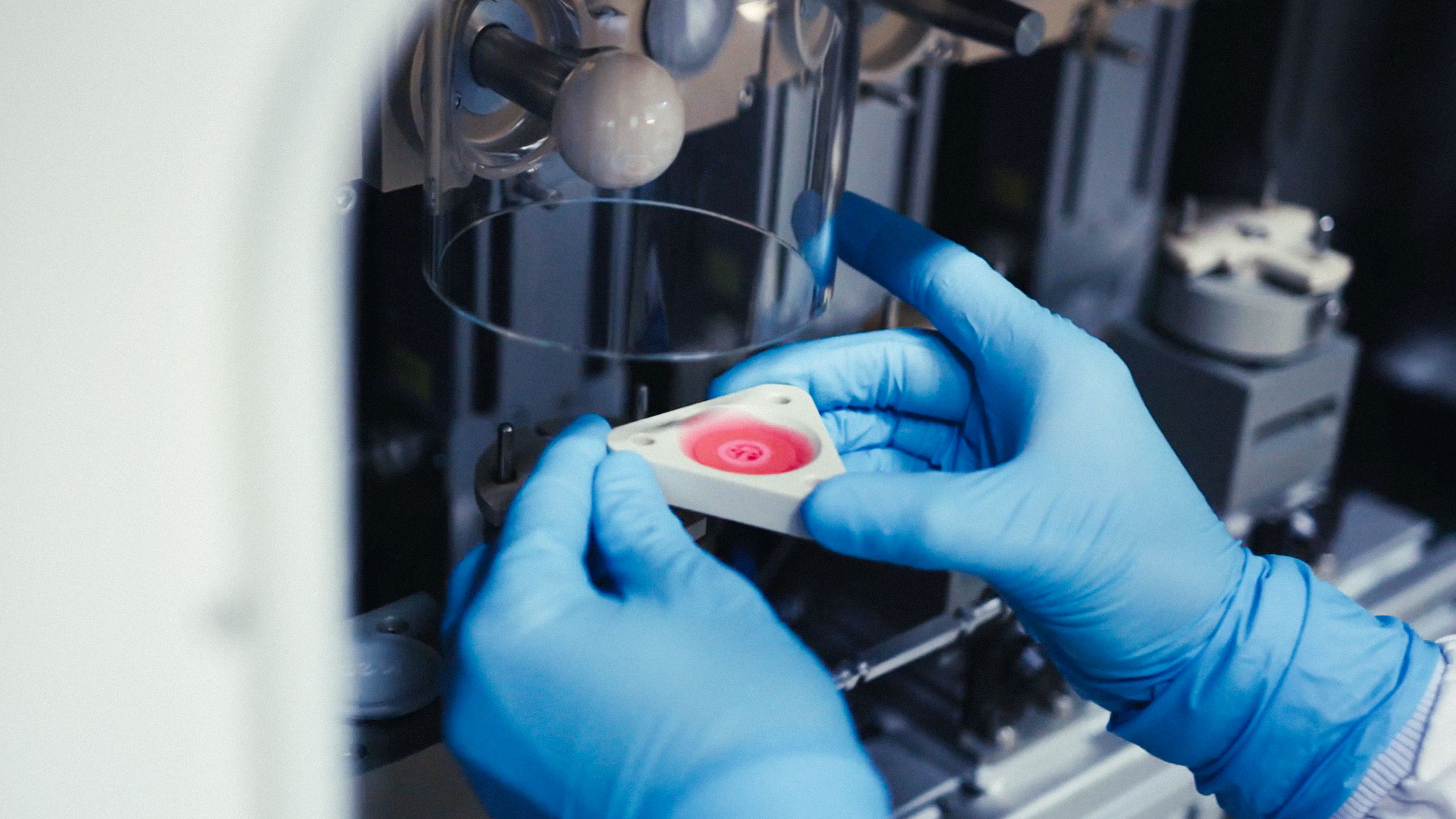 Recreating the knee in a lab