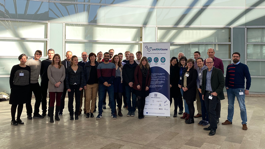 Launch of EU Research Project cmRNAbone: Novel Gene Therapy for Bone Regeneration