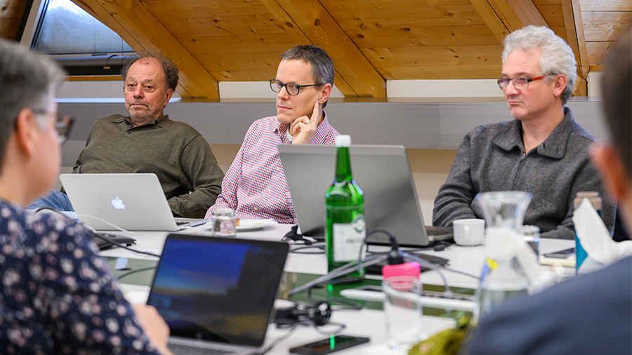 INDEED (INtervertebral Disc EnginEereD) project 