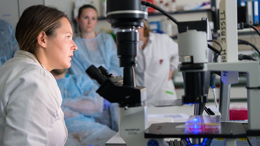 Outstanding research, consistent excellence