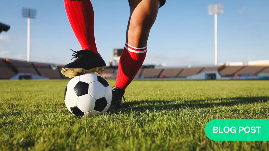 Building the team behind the athlete: holistic recovery guide