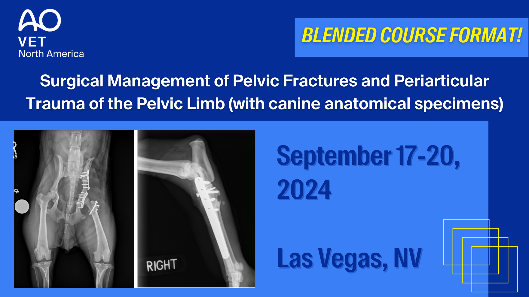 Elevate Your Veterinary Surgical Skills with AO VET NA's Blended Course