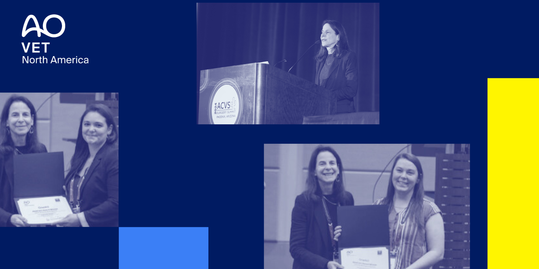 ANNOUNCING THE 2024 AO VET NA RESIDENT RESEARCH AWARD WINNERS